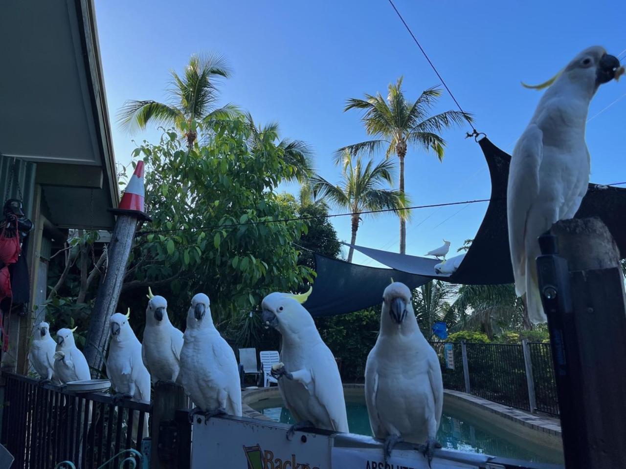 Ostello Backpackers By The Bay Airlie Beach Esterno foto