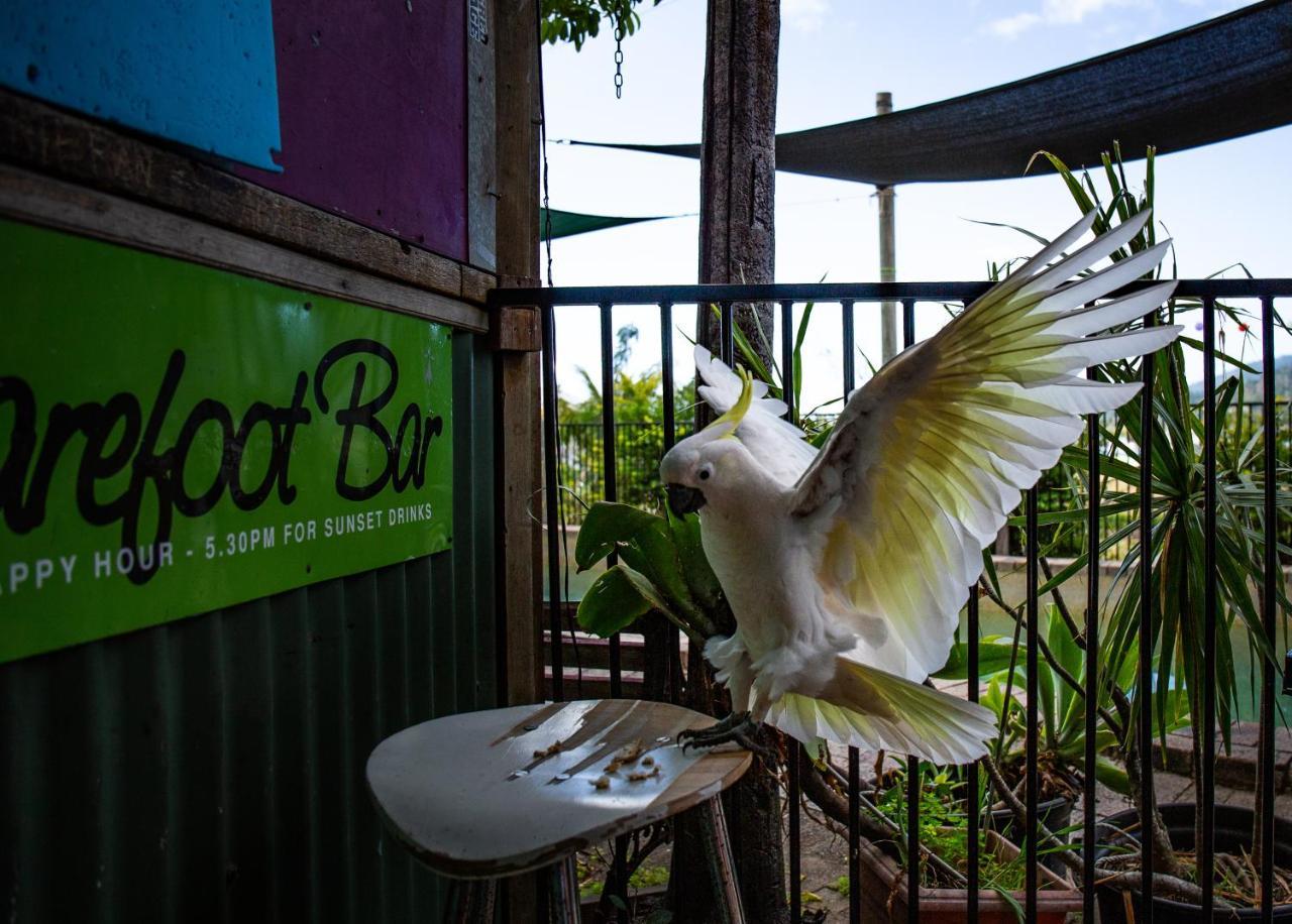 Ostello Backpackers By The Bay Airlie Beach Esterno foto