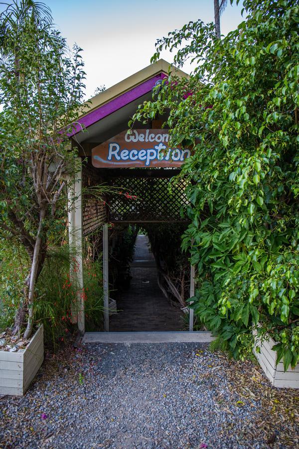 Ostello Backpackers By The Bay Airlie Beach Esterno foto